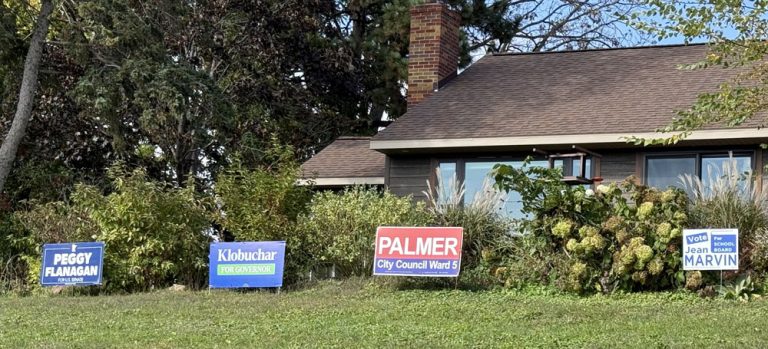 Shaun Palmer non-partisan yard signs for Rochester City Council Ward 5